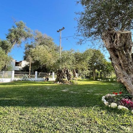 Nine Muses Apartments Kavos Bagian luar foto