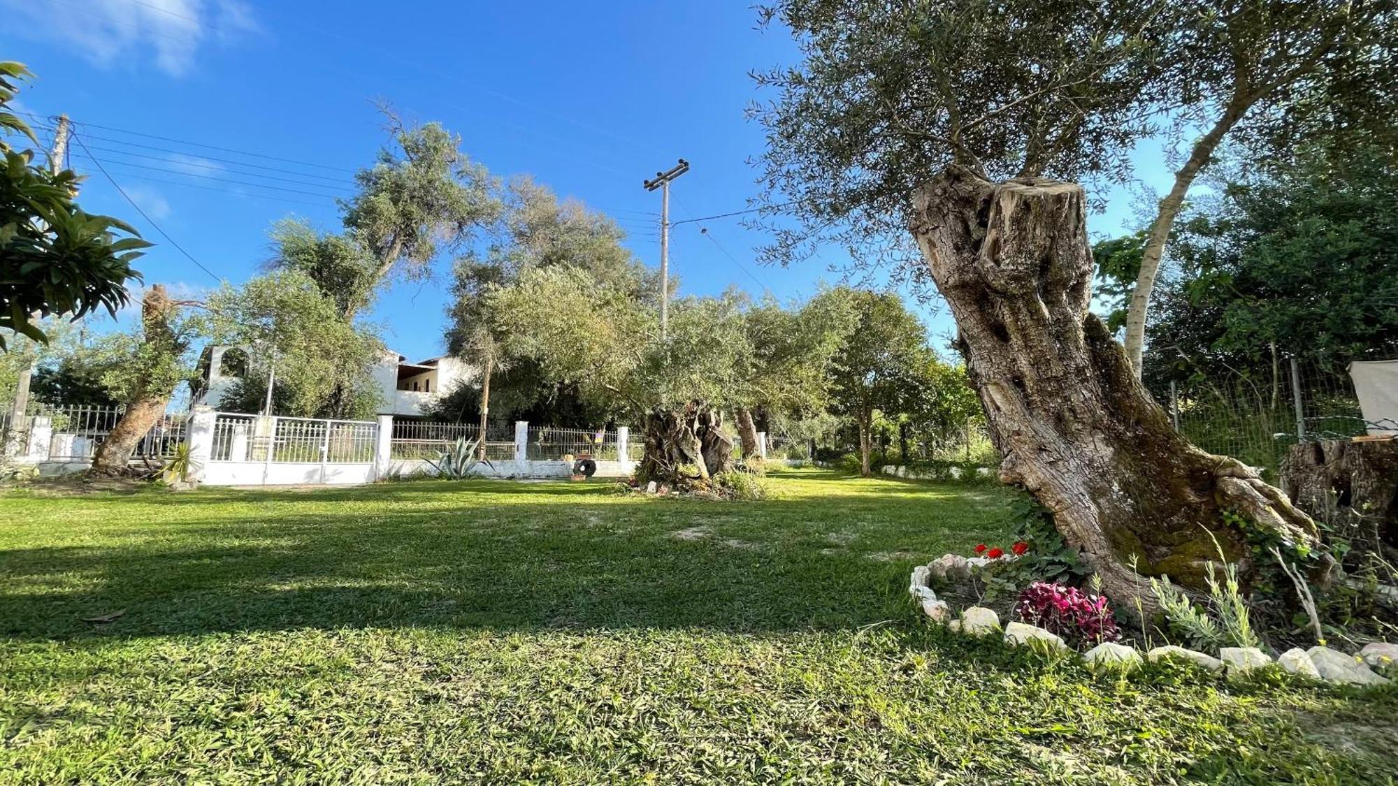 Nine Muses Apartments Kavos Bagian luar foto