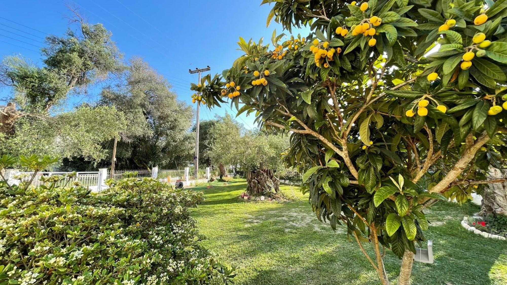 Nine Muses Apartments Kavos Bagian luar foto
